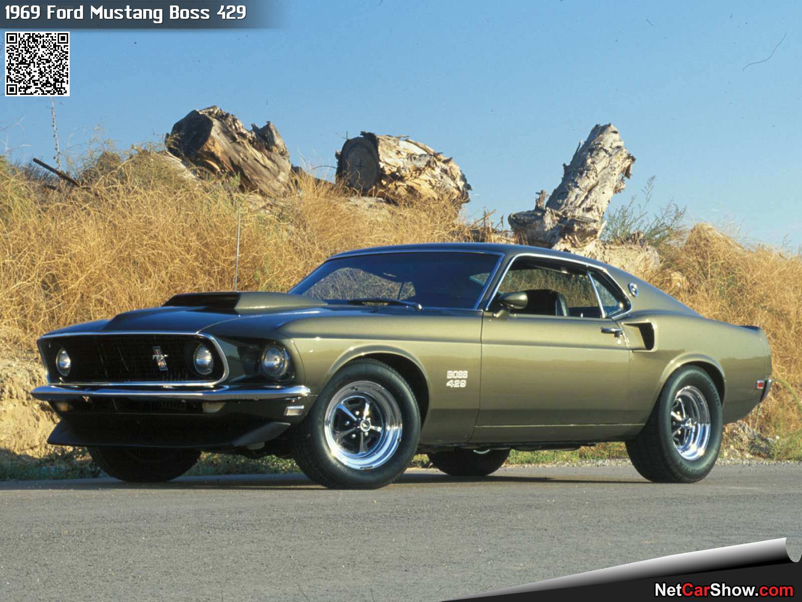 Ford-Mustang_Boss_429-1969-hd.jpg