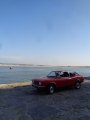 DSC04139.jpg