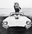 jaguar-e-type-series-iii.jpg