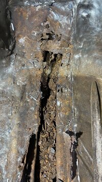 IMG_2798.jpeg