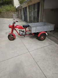 Triciclo de carga clássico Motalli e outros