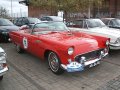 carros 75 anos ford 041.jpg