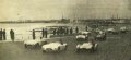 carros nacionais01.jpg