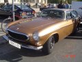 VOLVO P 1800 ES.jpg