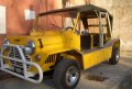 minimoke1.jpg