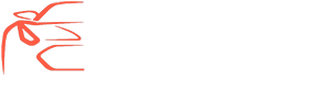 www.alojadodetalhe.pt
